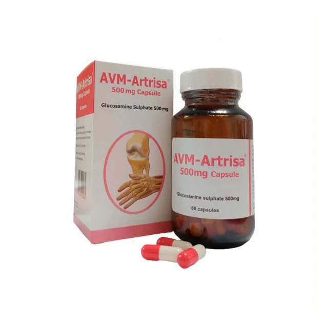 AVM-ARTRISA 500MG 60S
