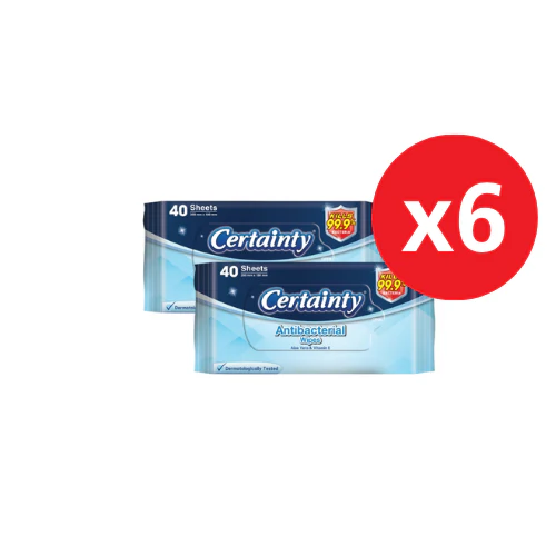 CERTAINTY ANTIBACTERIAL WIPES 40SX6