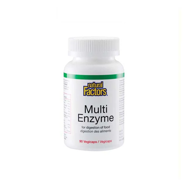 NATURAL FACTORS MULTI ENZYME 90S