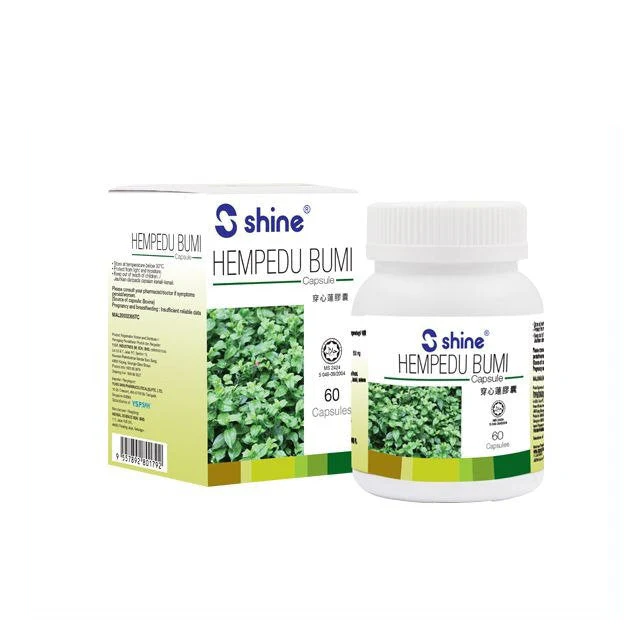 SHINE HEMPEDU BUMI 60S