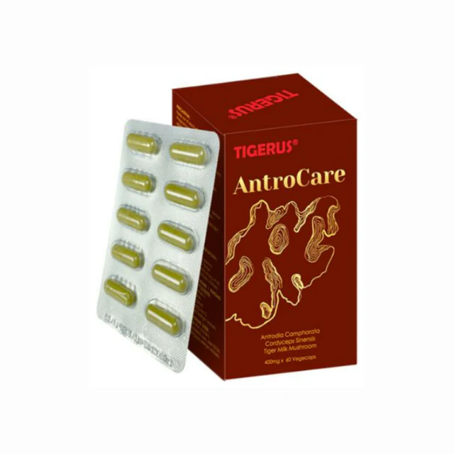 TIGERUS ANTROCARE 400MG 60S
